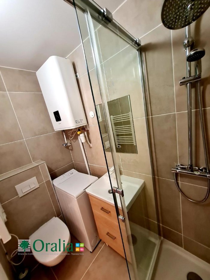 Image 4 sur 11 - Appartement  ·  Location · Dijon (21000) · 1 pièce · 17m²