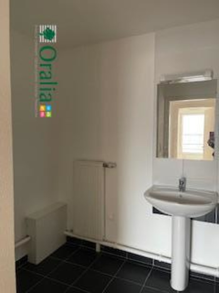 Image 9 sur 9 - Appartement  ·  Location · Mulhouse (68100) · 4 pièces · 74m²
