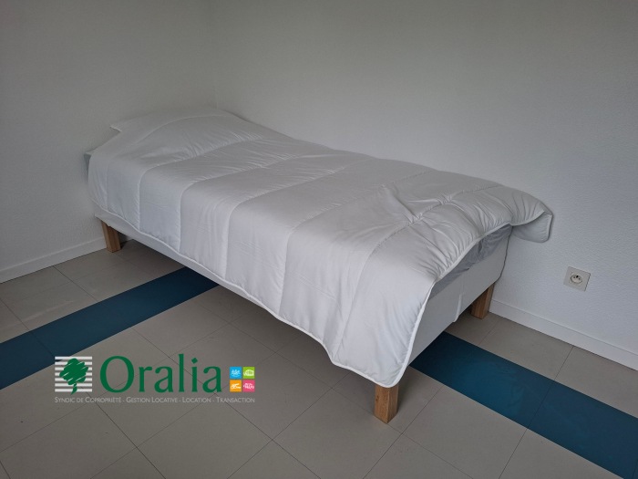 Image 4 sur 8 - Appartement  ·  Location · Dijon (21000) · 1 pièce · 18m²