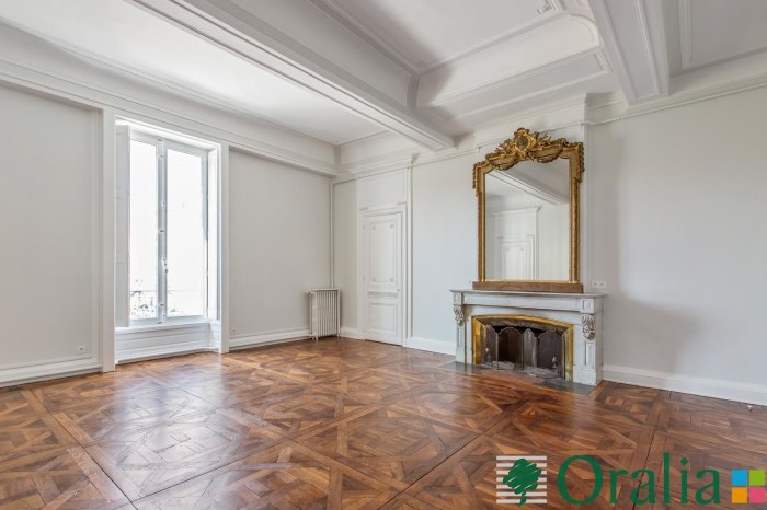Image 1 sur 11 - Appartement  ·  Location · Lyon (69002) · 5 pièces · 166m²
