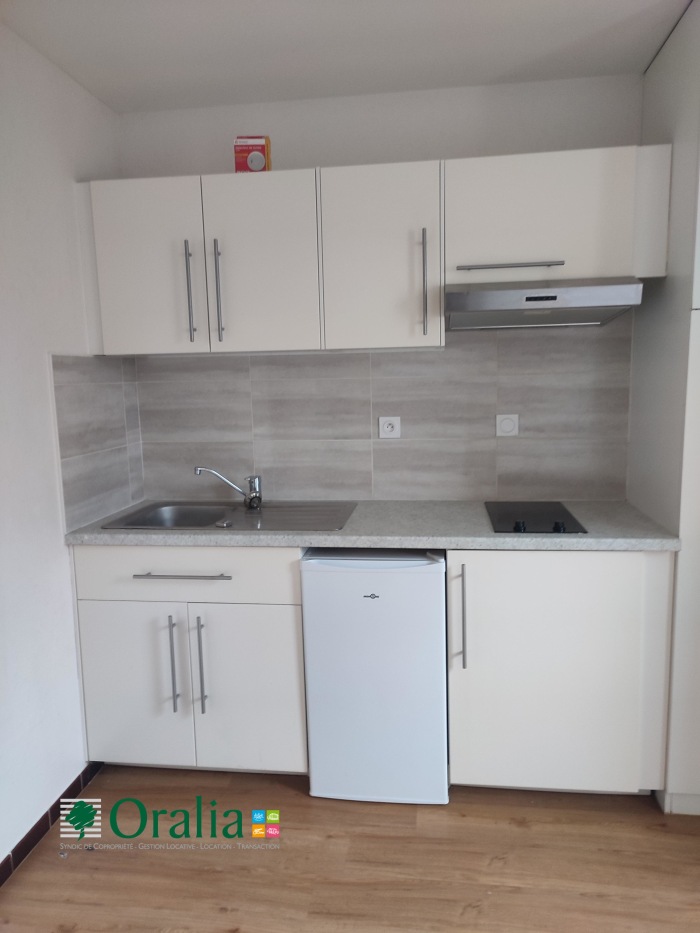 Image 3 sur 7 - Appartement  ·  Location · Dijon (21000) · 1 pièce · 30m²