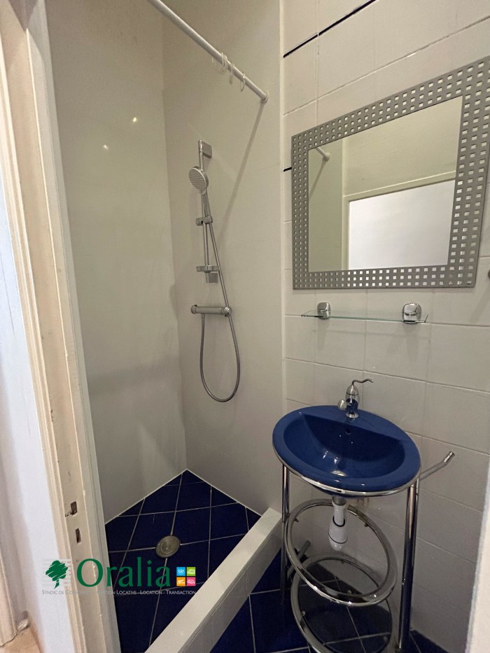 Image 8 sur 9 - Appartement  ·  Location · Lyon (69003) · 1 pièce · 53m²