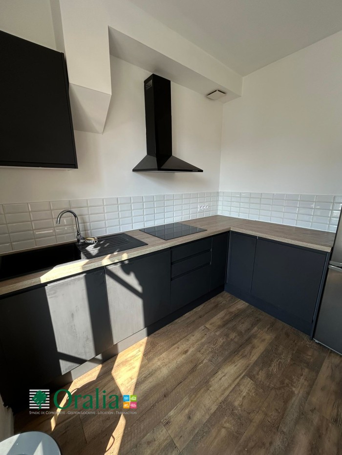 Image 4 sur 16 - Appartement  ·  Location · Villeurbanne (69100) · 3 pièces · 57m²