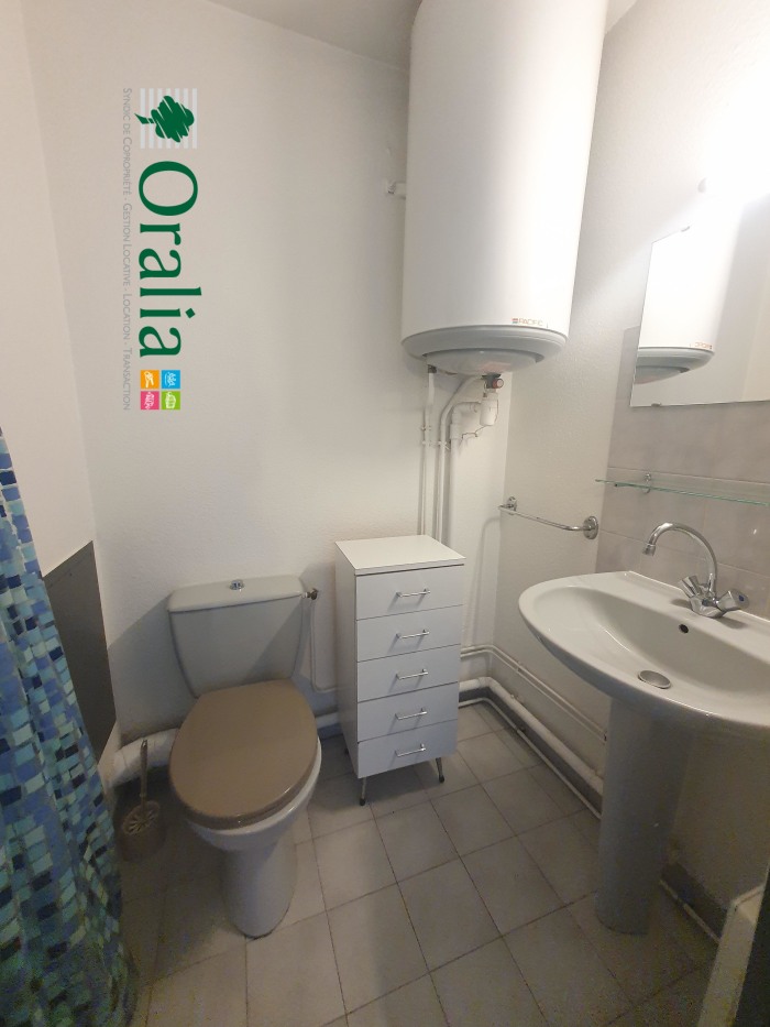 Image 7 sur 10 - Appartement  ·  Location · Grenoble (38100) · 1 pièce · 16m²