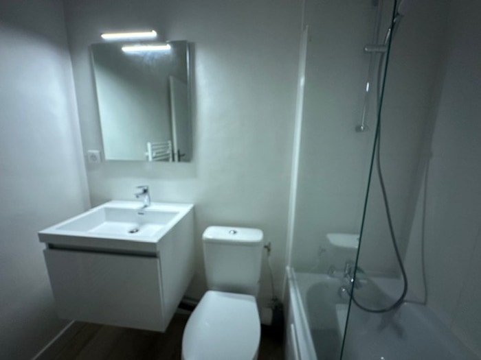 Image 9 sur 13 - Appartement  ·  Location · Grenoble (38000) · 1 pièce · 33m²