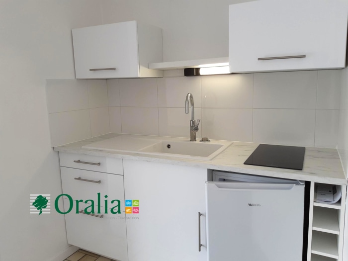 Image 3 sur 8 - Appartement  ·  Location · Grenoble (38000) · 1 pièce · 33m²
