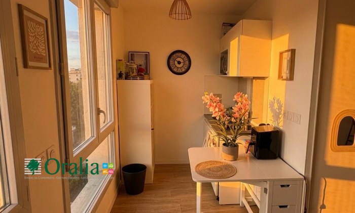 Image 4 sur 7 - Appartement  ·  Location · Dijon (21000) · 1 pièce · 24m²
