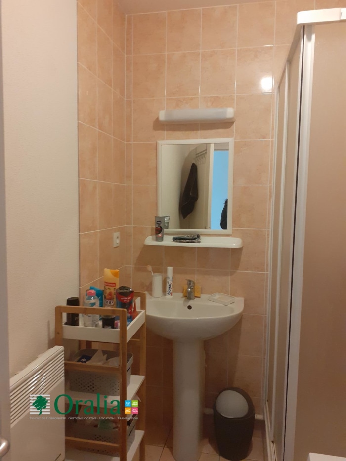 Image 6 sur 7 - Appartement  ·  Location · Dijon (21000) · 1 pièce · 31m²