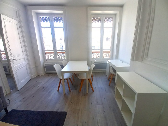 Image 15 sur 15 - Appartement  ·  Location · Lyon 07 (69007) · 2 pièces · 48m²