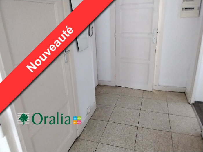 Image 1 sur 6 - Appartement  ·  Location · Lyon (69007) · 4 pièces · 67m²