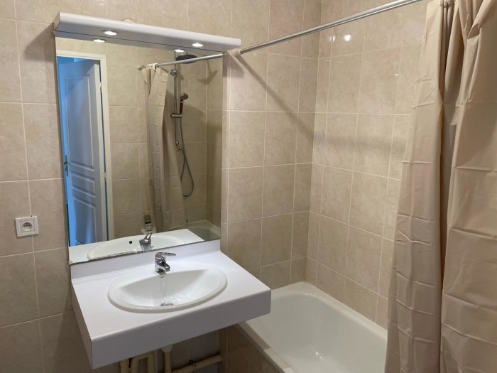 Image 9 sur 10 - Appartement  ·  Location · Lyon (69008) · 2 pièces · 50m²