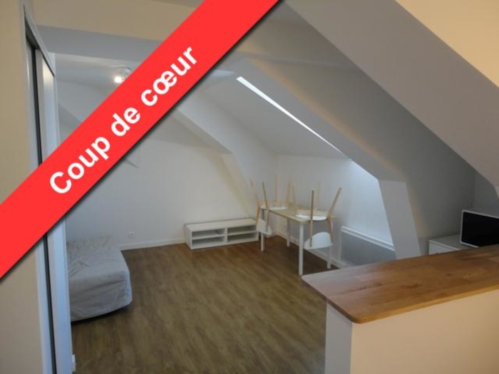 Image 1 sur 6 - Appartement  ·  Location · Grenoble (38000) · 1 pièce · 22m²