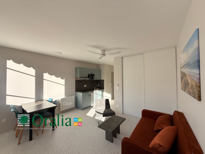 Image 4 sur 8 - Appartement  ·  Location · Tarare (69170) · 1 pièce · 27m²