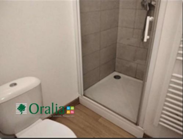 Image 3 sur 4 - Appartement  ·  Location · Caluire Et Cuire (69300) · 1 pièce · 31m²