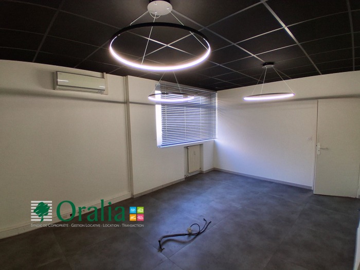 Image 14 sur 24 - Local commercial  ·  Location · Villefranche Sur Saone (69400) · 204m²