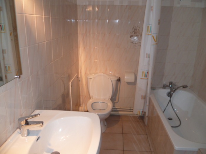 Image 4 sur 6 - Appartement  ·  Location · Villeurbanne (69100) · 1 pièce · 39m²