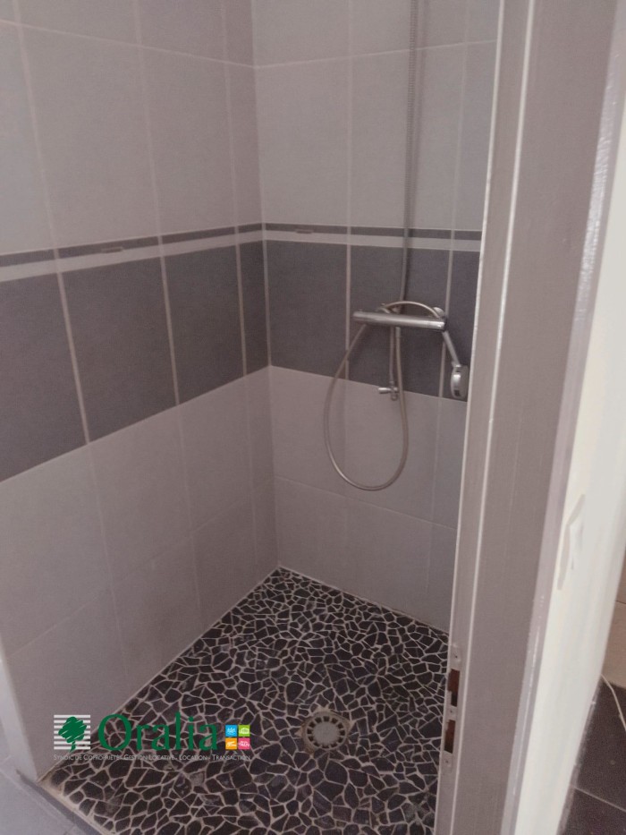 Image 4 sur 7 - Appartement  ·  Location · Villeurbanne (69100) · 3 pièces · 59m²