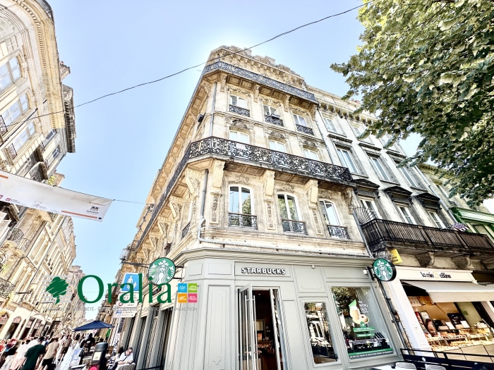 Image 6 sur 10 - Appartement  ·  Location · Bordeaux (33000) · 1 pièce · 23m²