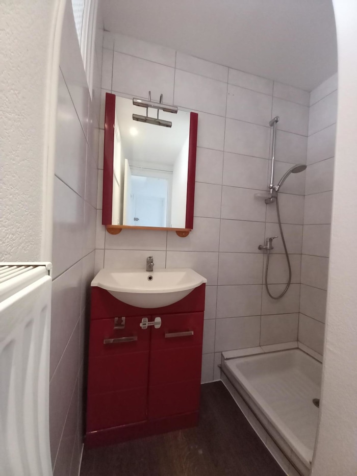 Image 6 sur 7 - Appartement  ·  Location · Panissieres (42360) · 3 pièces · 57m²