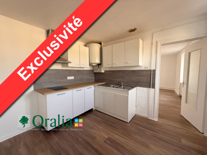 Image 1 sur 7 - Appartement  ·  Location · Panissieres (42360) · 3 pièces · 66m²