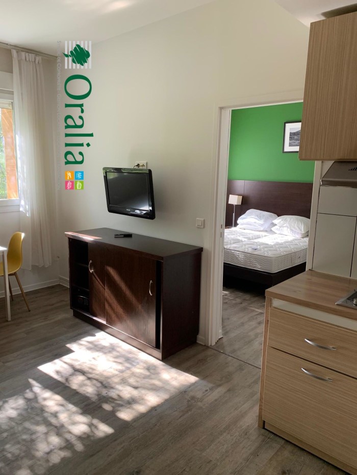 Image 4 sur 9 - Appartement  ·  Location · Grenoble (38000) · 2 pièces · 33m²