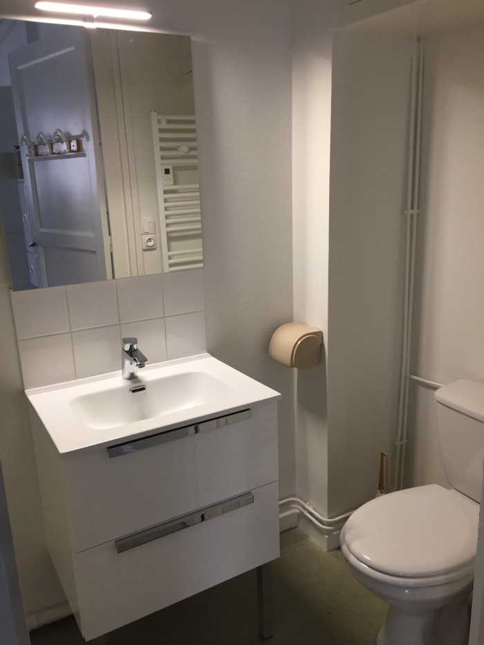 Image 6 sur 6 - Appartement  ·  Location · Villeurbanne (69100) · 2 pièces · 56m²