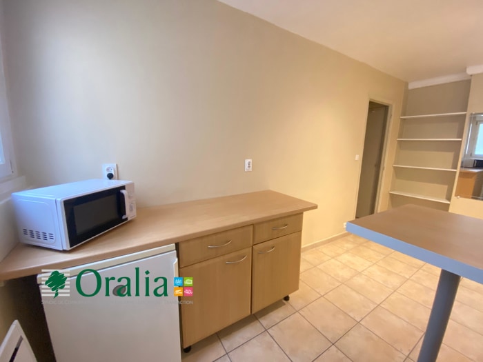 Image 2 sur 6 - Appartement  ·  Location · Grenoble (38000) · 1 pièce · 29m²