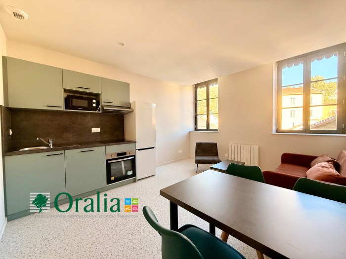 Image 1 sur 1 - Appartement  ·  Location · Tarare (69170) · 3 pièces · 47m²