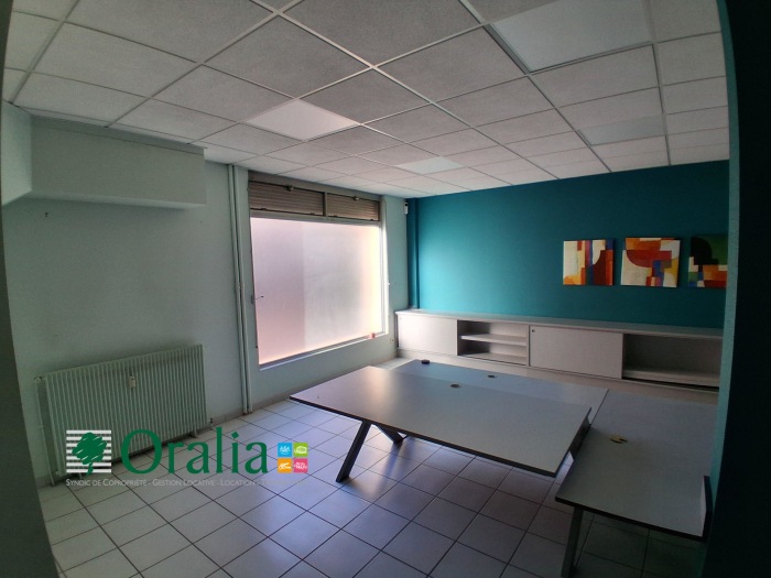 Image 8 sur 24 - Local commercial  ·  Location · Villefranche Sur Saone (69400) · 204m²