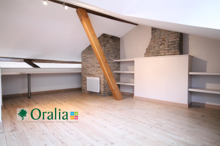 Image 7 sur 12 - Appartement  ·  Location · Grenoble (38000) · 1 pièce · 31m²
