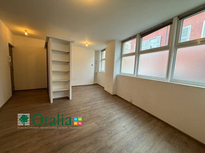 Image 5 sur 11 - Appartement  ·  Location · Tarare (69170) · 2 pièces · 49m²