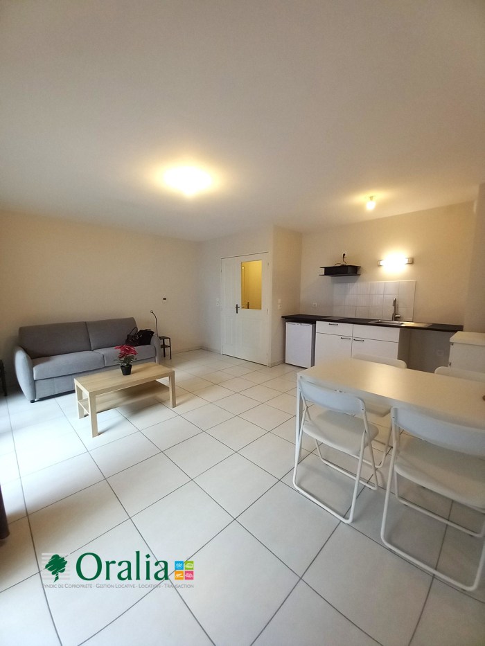 Image 6 sur 12 - Appartement  ·  Location · Lyon (69003) · 1 pièce · 36m²