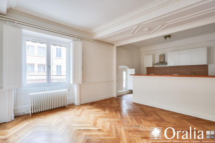 Image 1 sur 19 - Appartement  ·  Location · Lyon (69001) · 5 pièces · 111m²