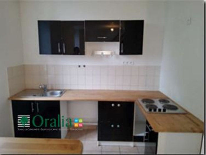 Image 3 sur 5 - Appartement  ·  Location · Saint Cyr Au Mont D Or (69450) · 2 pièces · 31m²