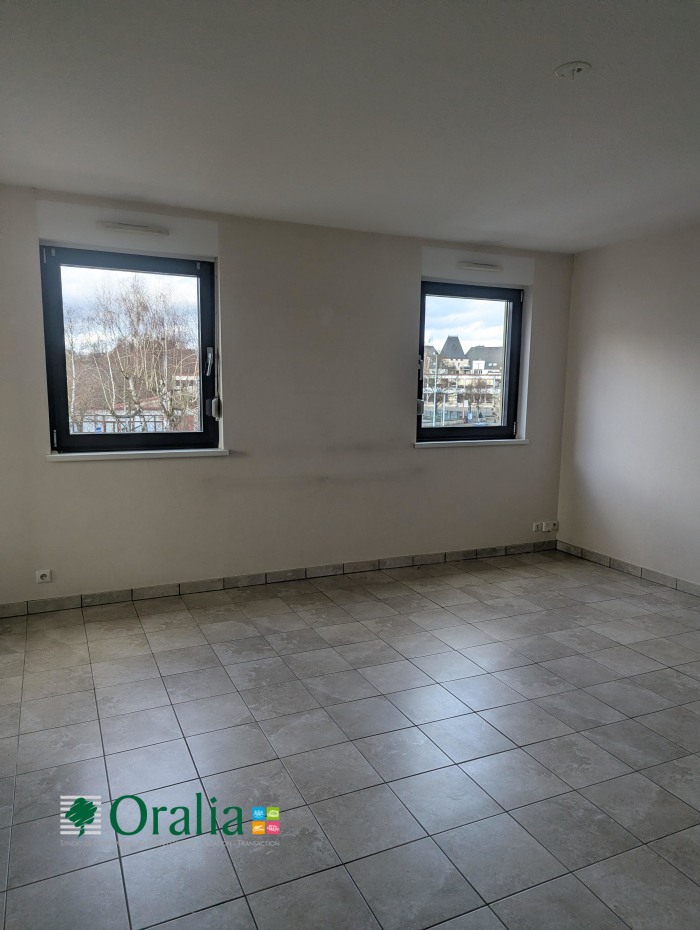 Image 1 sur 8 - Appartement  ·  Location · Sarreguemines (57200) · 3 pièces · 74m²