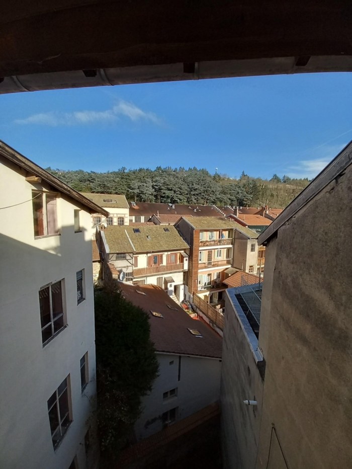 Image 9 sur 11 - Immeuble  ·  Vente · Tarare (69170) · 149m²