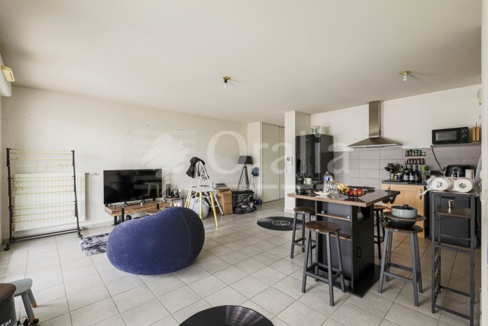 Image 6 sur 13 - Appartement  ·  Vente · Grenoble (38100) · 2 pièces · 49m²
