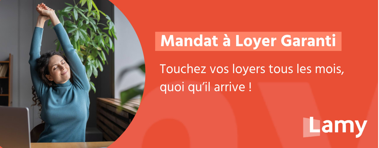 Bannière auto-promo MLG 4.png