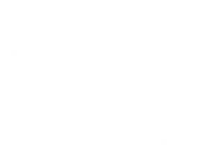 CapCut Pro