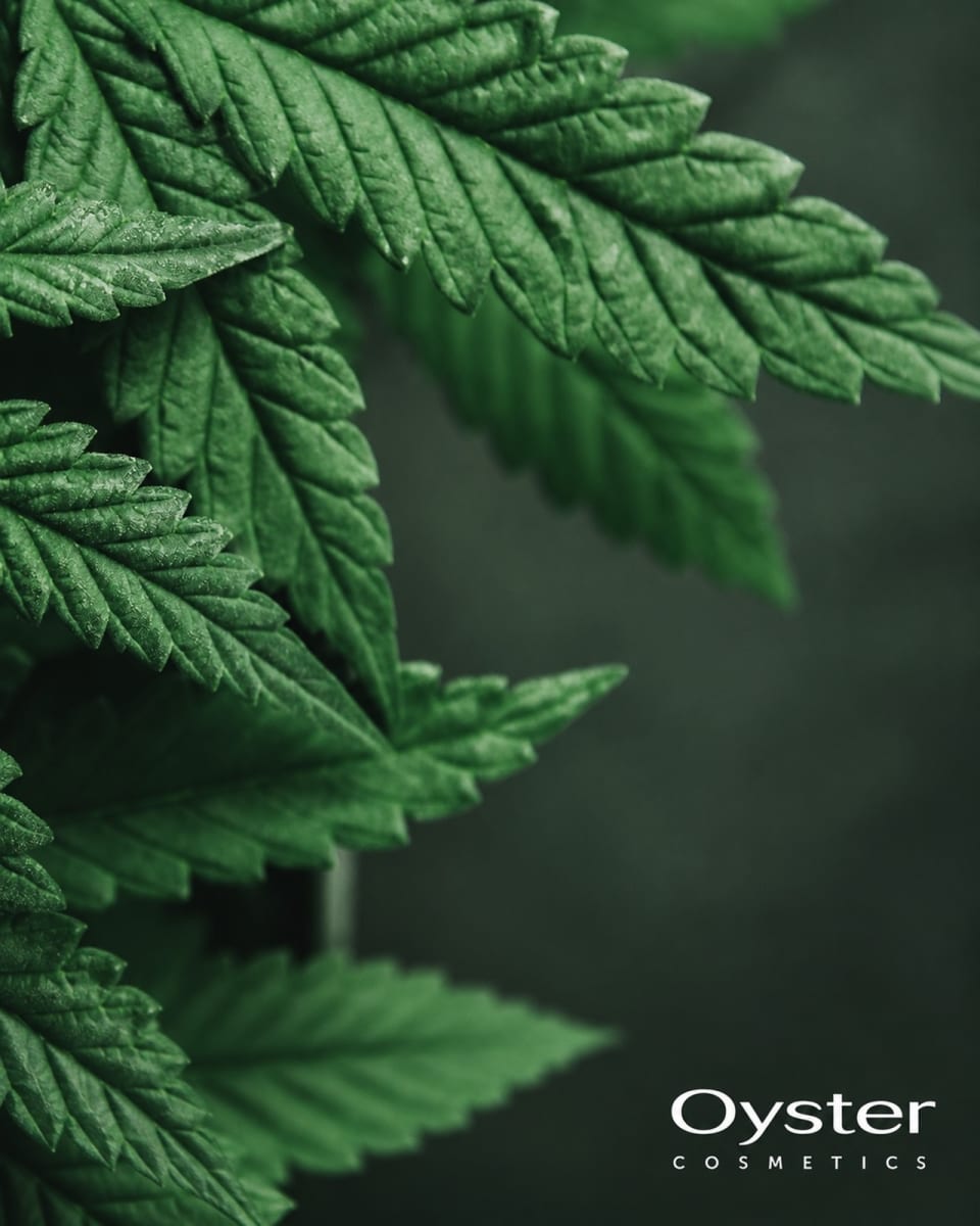 Green Lab