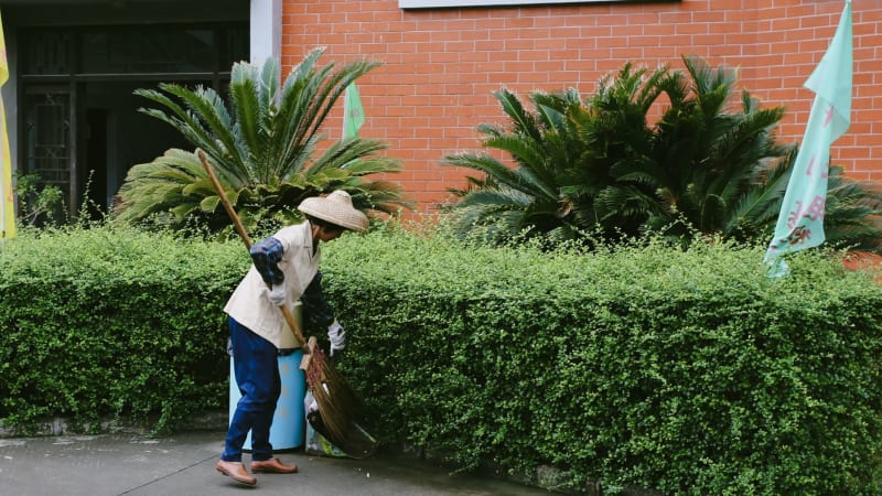Woman in bamboo hat sweeping an urban sidewalk near plants and brick building.