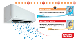 sel-clean-air