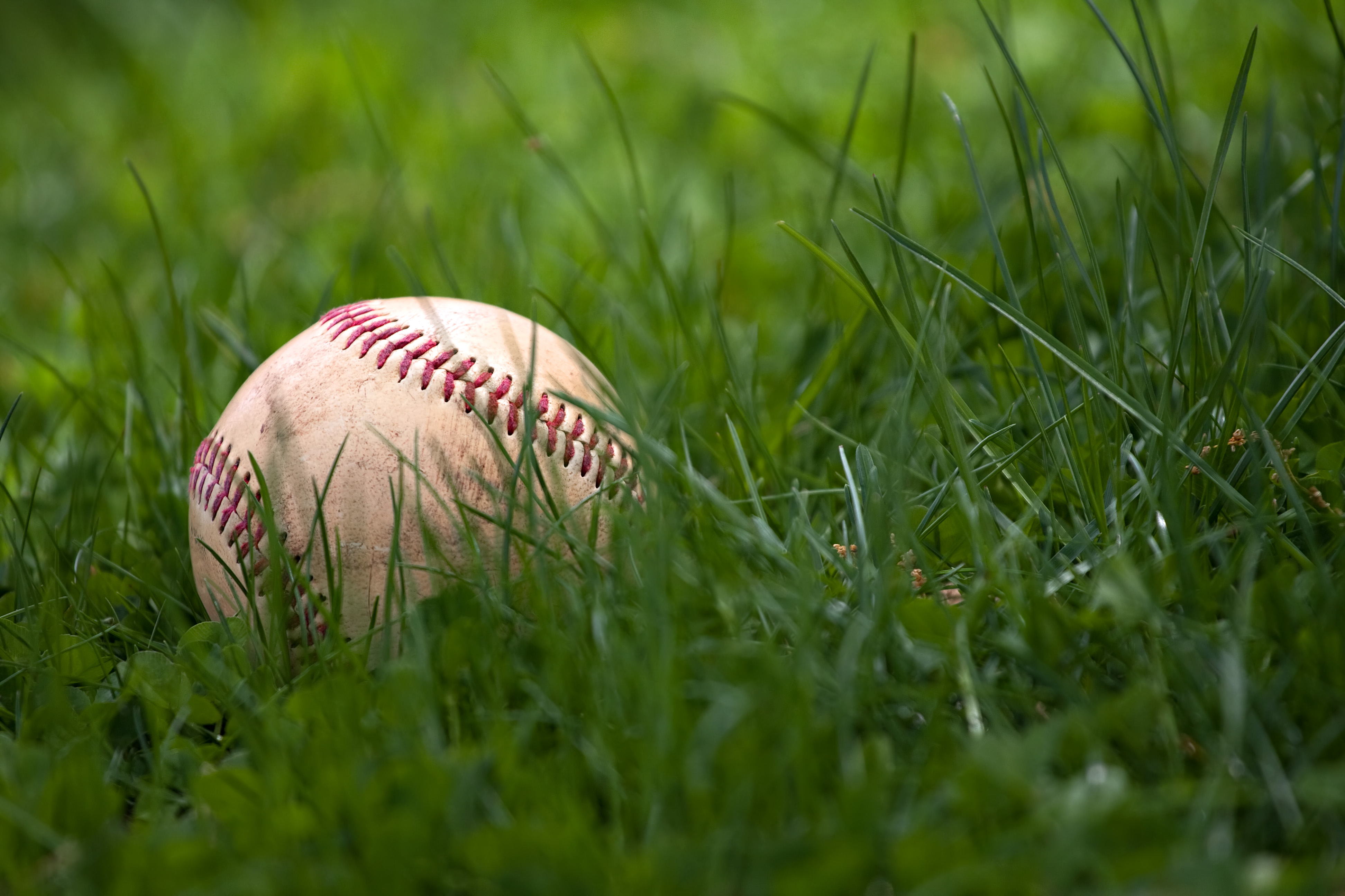 Anchorage Sports Association Opens Summer Softball Registration for All Ages