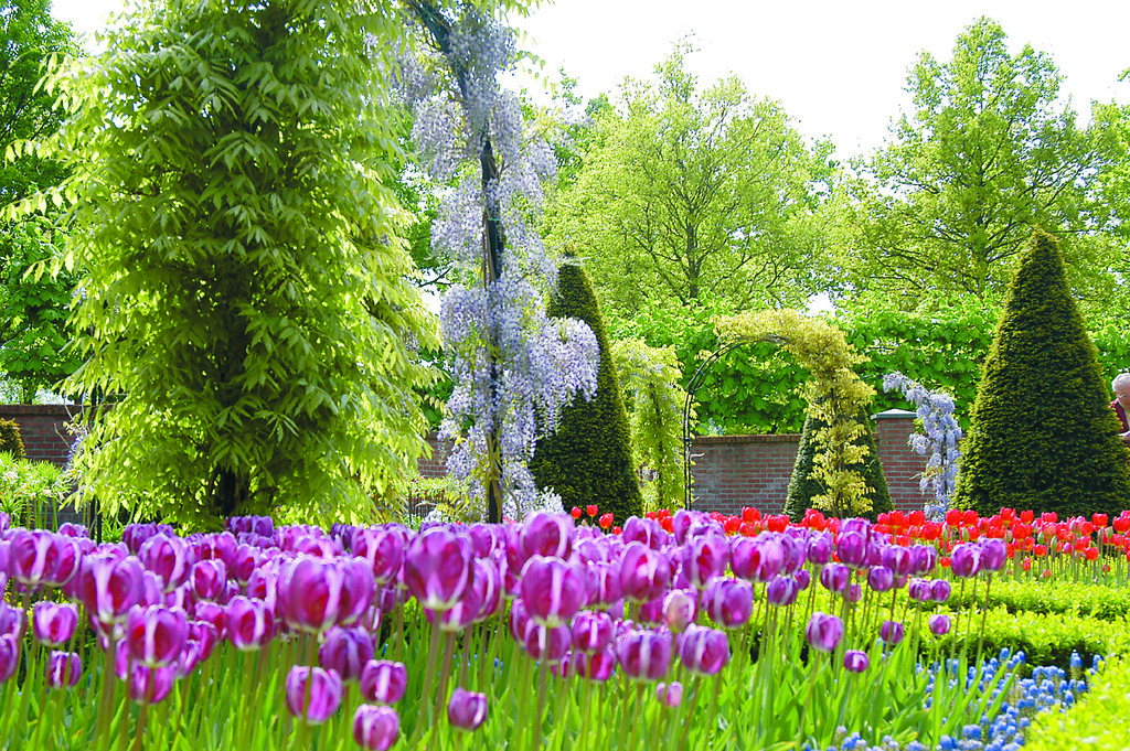Rijksmuseum Gardens Offer a Quiet Green Pause in Amsterdam