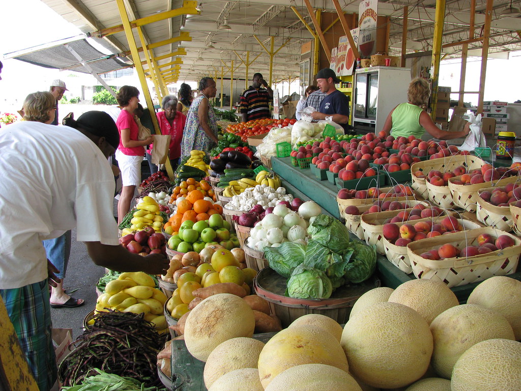 Fargo Residents Access Fresh Produce, Plant-Based Meals Through Low-Cost Resources