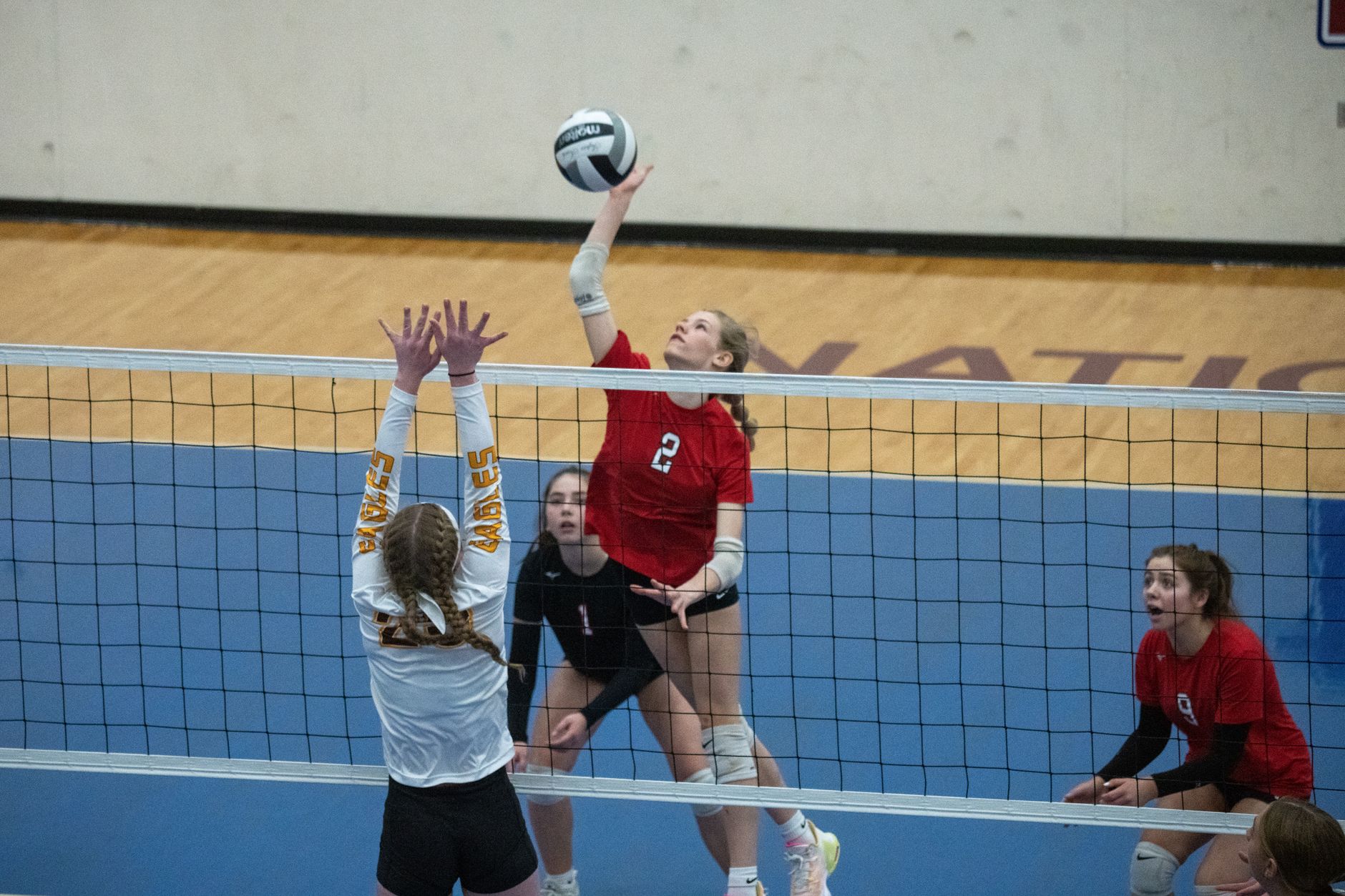 Billings College Teams Win Tournament Spots, Earn Weekly Conference Honors