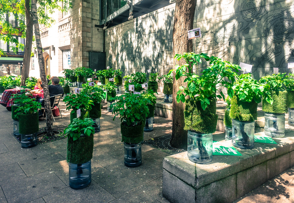 Dublin's Viking Origins and Revolutionary Landmarks Revealed Through Local History
