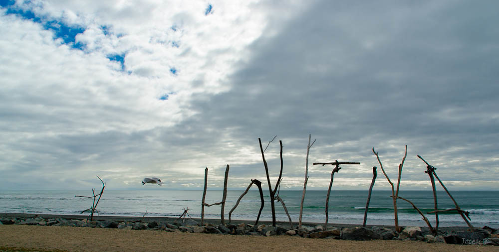 Burleigh Heads Balances Growth With Iconic Surf Culture as Winter Warms