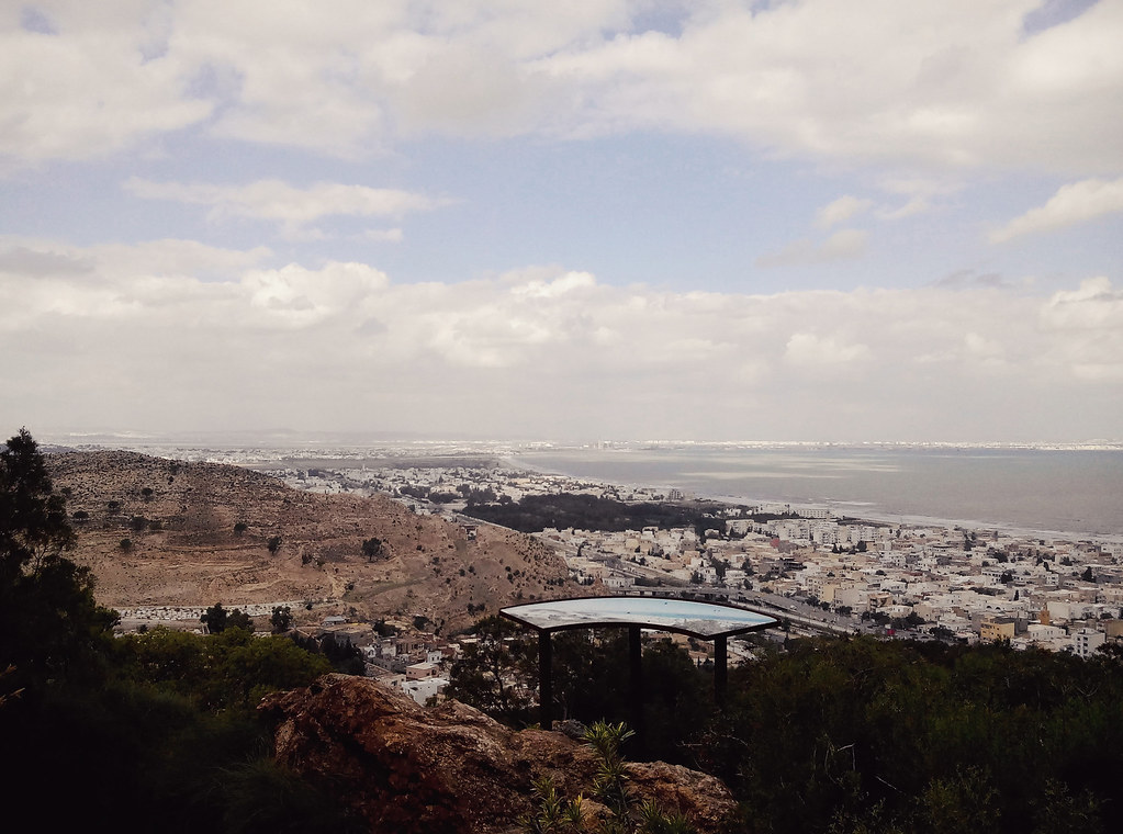 Tunis Sees First-Time Buyers Return as Entry-Level Prices Shift