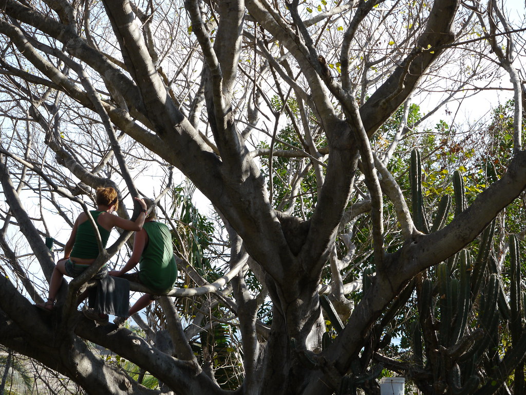 Denver Offers Year-Round Seasonal Activities for Every Outdoor Enthusiast